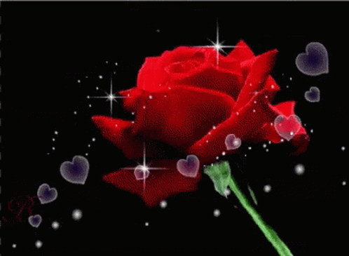 Con Cariño Flower GIF - Con Cariño Flower Rose GIFs