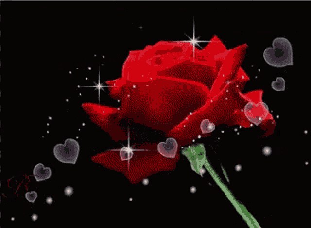 a red rose is surrounded by hearts and stars on a black background