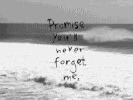 a black and white photo of a beach with the words " promise you 'll never forget me "
