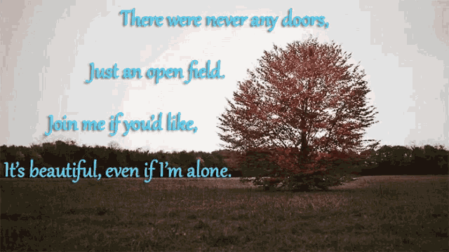 there were never any doors just an open field join me if you d like it 's beautiful even if i m alone