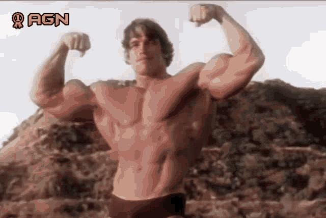 Schwarzenegger Gym GIF