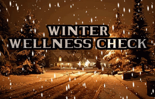 Wellness Check Winter Wellness Check GIF - Wellness Check Winter Wellness Check Storm GIFs