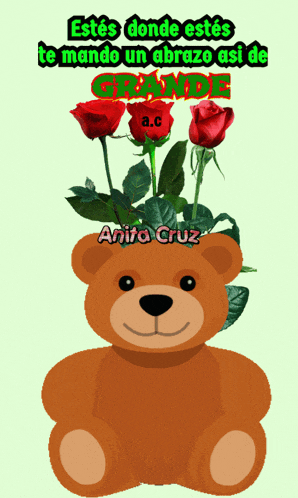 a teddy bear with red roses and the name anita cruz written on it