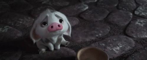 Cochon Triste GIF - Cochon Triste Sad GIFs