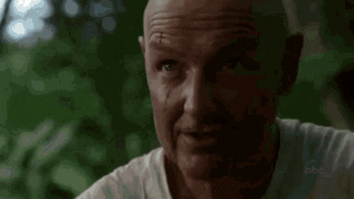 a bald man with a scar on his forehead says was beautiful .