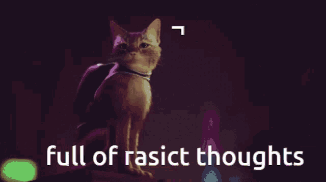 a picture of a cat with the words full of rasict thoughts