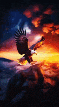 a bald eagle is flying over a rocky landscape