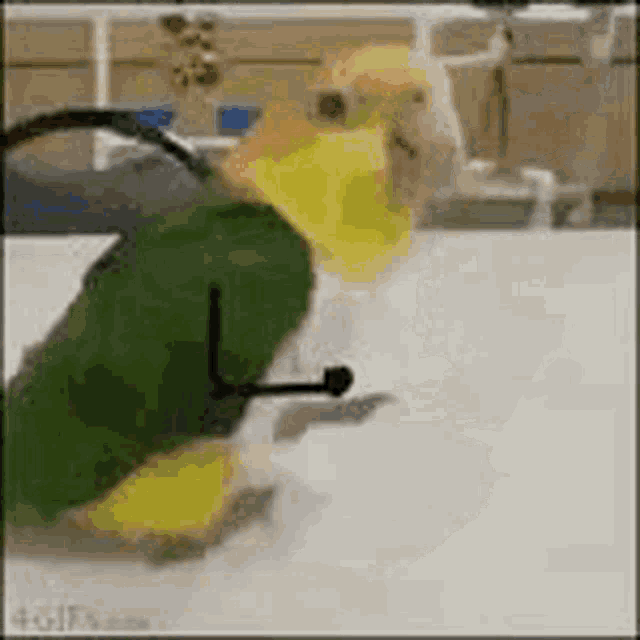 a parrot is wearing a green backpack and a yellow shirt .