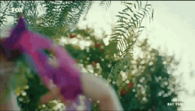 a woman wearing a purple mask is standing in front of a tree with fox written on the bottom