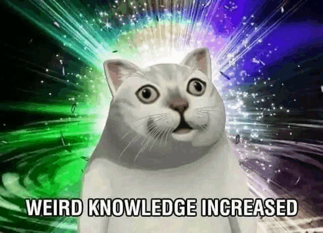 a white cat is standing in front of a rainbow background and says `` weird knowledge increased '' .