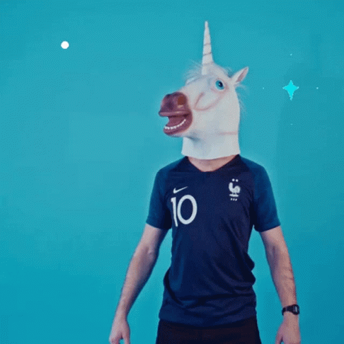Unicorn Licorne GIF - Unicorn Licorne Soccer GIFs