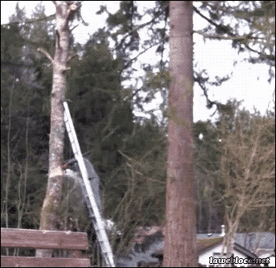 Deserved Really Dumbass GIF - Deserved Really Dumbass Accident GIFs