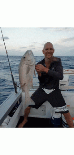 Whitehaven Hill Inlet Tours Fishing Charters Airlie Beach GIF - Whitehaven Hill Inlet Tours Fishing Charters Airlie Beach GIFs