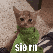 a cat is wrapped in a green towel and has the word sie rn on it .