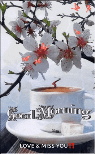 a cup of coffee on a saucer with the words good morning love and miss you