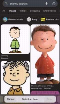 a screenshot of a search for shermy peanuts on a phone