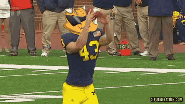 a football player wearing number 43 throws a ball