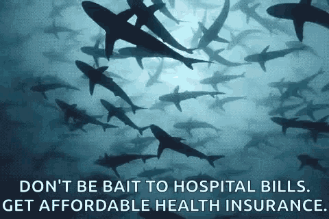 a flock of sharks are swimming in the ocean with a quote .