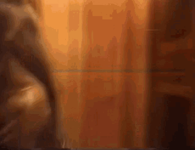 a blurry picture of a person standing in front of a wooden wall .