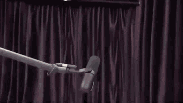 a person is standing in front of a microphone with a purple curtain behind them .