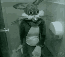 a stuffed bunny is sitting on a toilet .