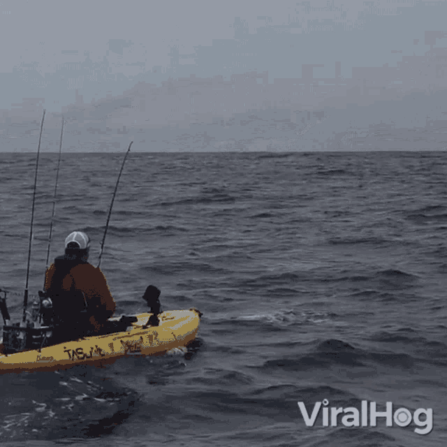 Fishing Viralhog GIF - Fishing Viralhog Catching A Fish GIFs