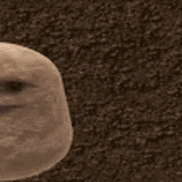 a close up of a potato with a face on it on a carpet .