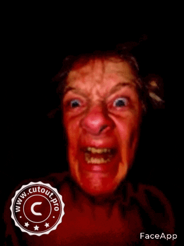a woman with blood on her face is making a funny face with a cutout pro logo