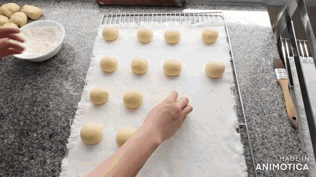 a bunch of balls of dough are on a piece of paper that says made in animatica on it