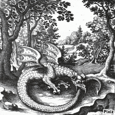 a black and white drawing of a dragon surrounded by trees in a forest .