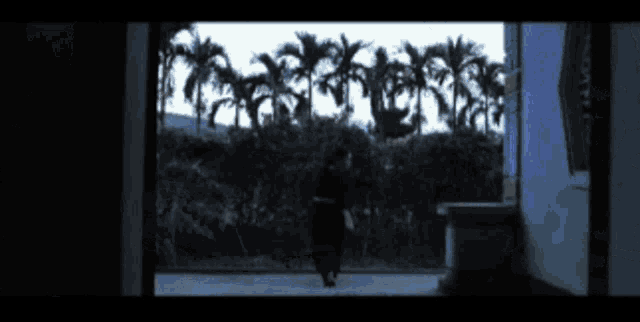 a silhouette of a person walking through a doorway with palm trees behind them