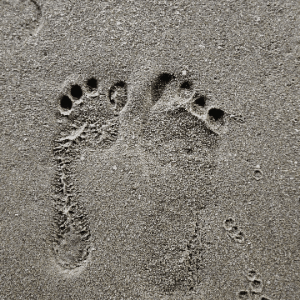 Nagvish Footprint GIF - Nagvish Footprint GIFs