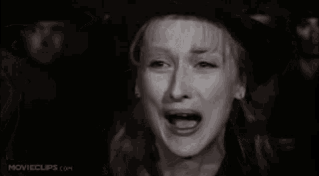 Meryl Streep Sophies Choice GIF - Meryl Streep Sophies Choice Silent Scream GIFs