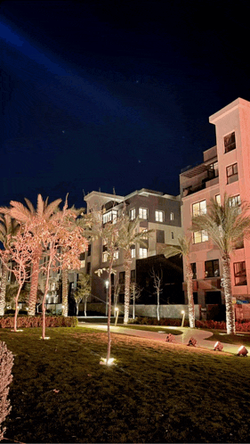 a large building is lit up at night with palm trees in the foreground