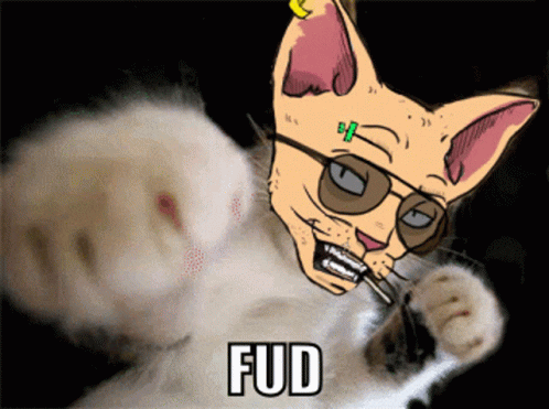 Cats On Crack Catsoncracknft GIF - Cats On Crack Catsoncracknft GIFs