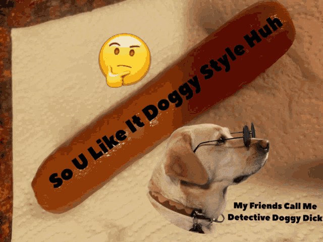 a hot dog that says so u like it doggy style huh on it