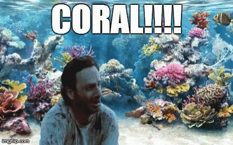 Coral GIF - Coral GIFs