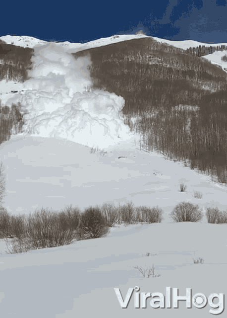 Huge Avalanche Rips Down Mountain Snow GIF