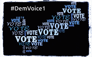 a poster that says #demvoice1 and says vote blue