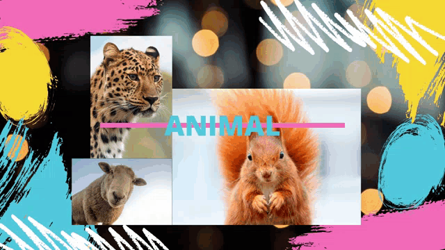 a leopard a squirrel and a sheep are shown in a collage with the word animal above them