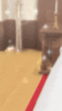 a blurry picture of a wooden floor with a red stripe on it