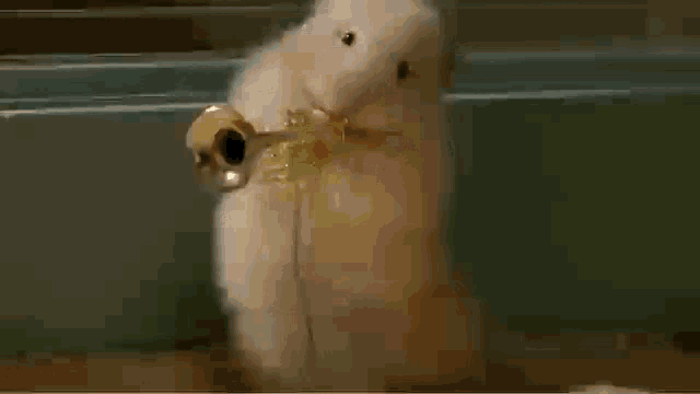 Hamster Trompetista GIF