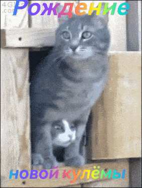 a picture of a cat and a kitten with the words " рождение " in blue and red