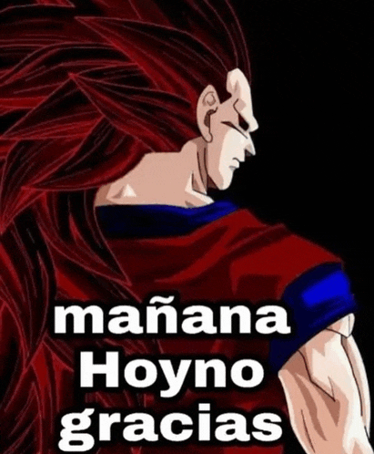 a picture of a dragon ball z character with the words mañana hoyno gracias
