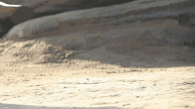 a blurred image of a sandy beach with a rock in the background