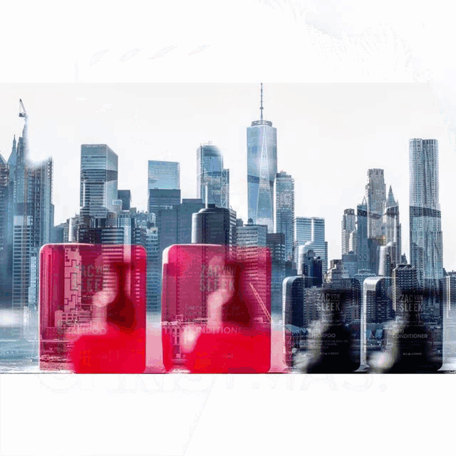 bottles of zacsin sleek shampoo and conditioner are lined up in front of a new york city skyline