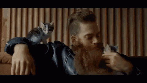 a man with a beard is petting a kitten on his shoulder .