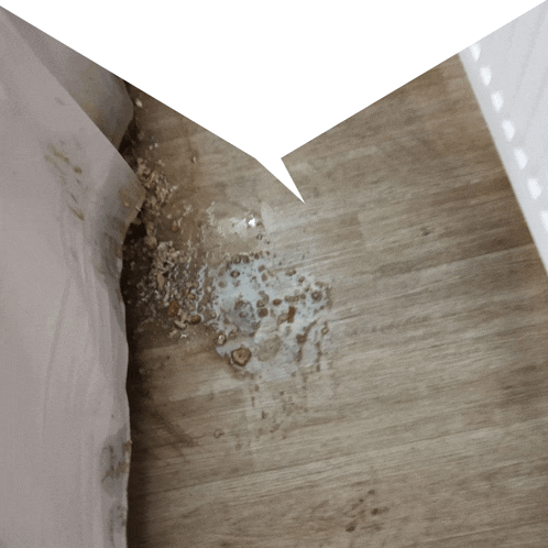 a white speech bubble is pointing to a corner of a room