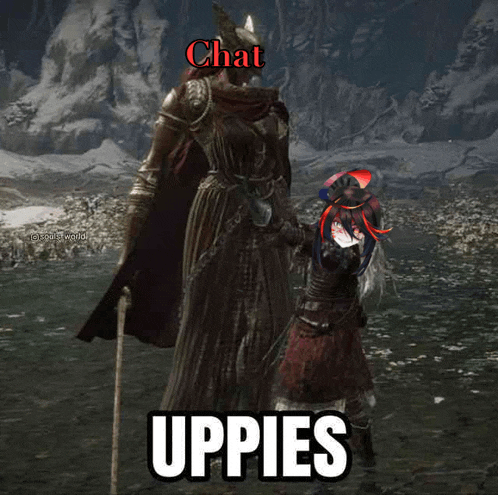 a screenshot of a video game shows a knight and a little girl and says chat uppies
