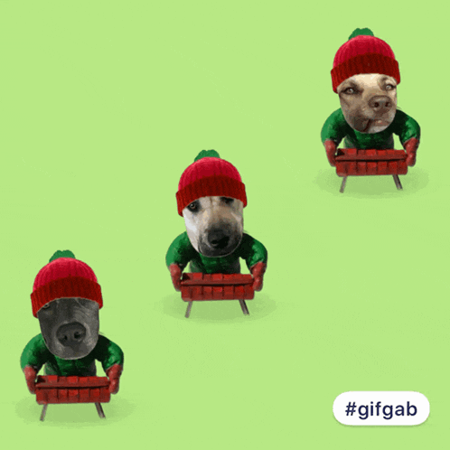 three dogs wearing red hats and green sweaters are holding bricks in their hands